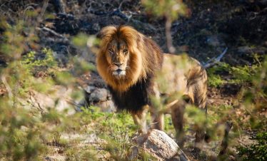 Cape Town, Kruger & Zimbabwe