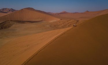 Cape & Dunes Northbound: Wildlife & Starry Night Skies