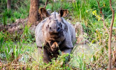 Secret Africa Safaris