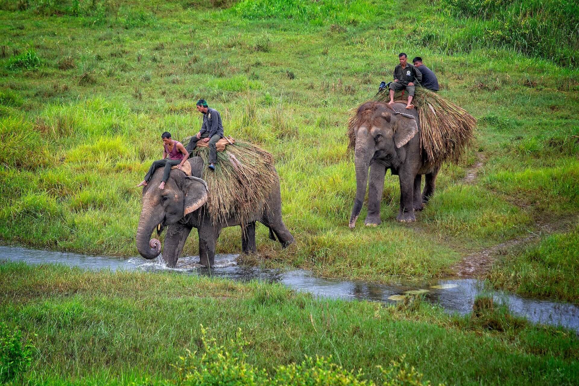 Secret Africa Safaris