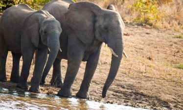 Journeys: Cape Town, Kruger & Namibia