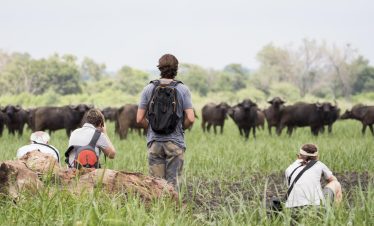 Secret Africa Safaris offer The best travel packages.