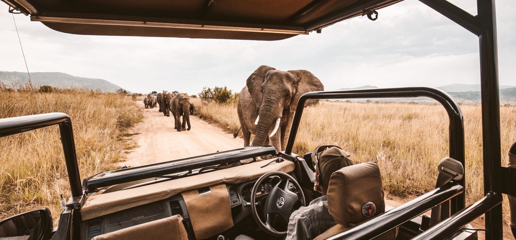 Secret Africa Safaris